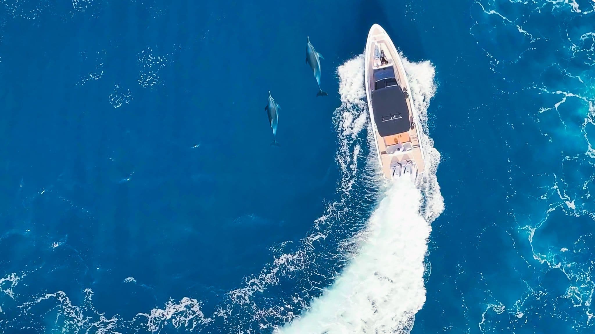 Capri Private Boat