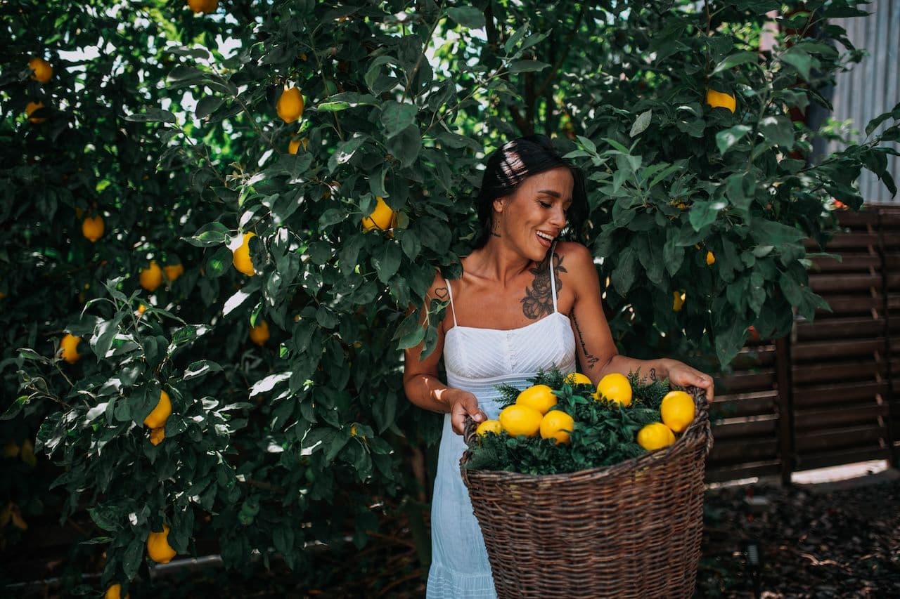 Lemon Grove & Mozzarella