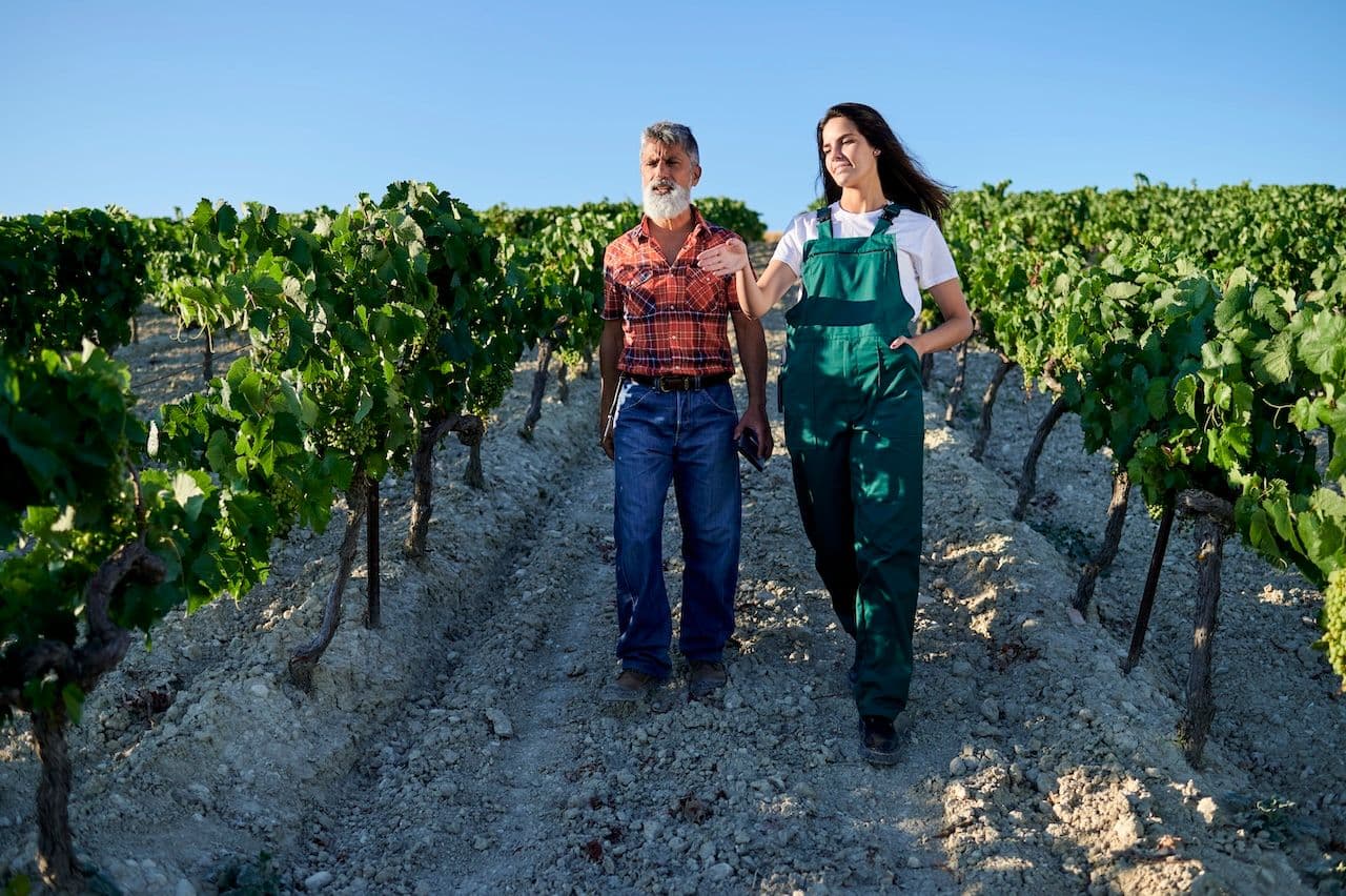 Vineyard & Wine Tasting