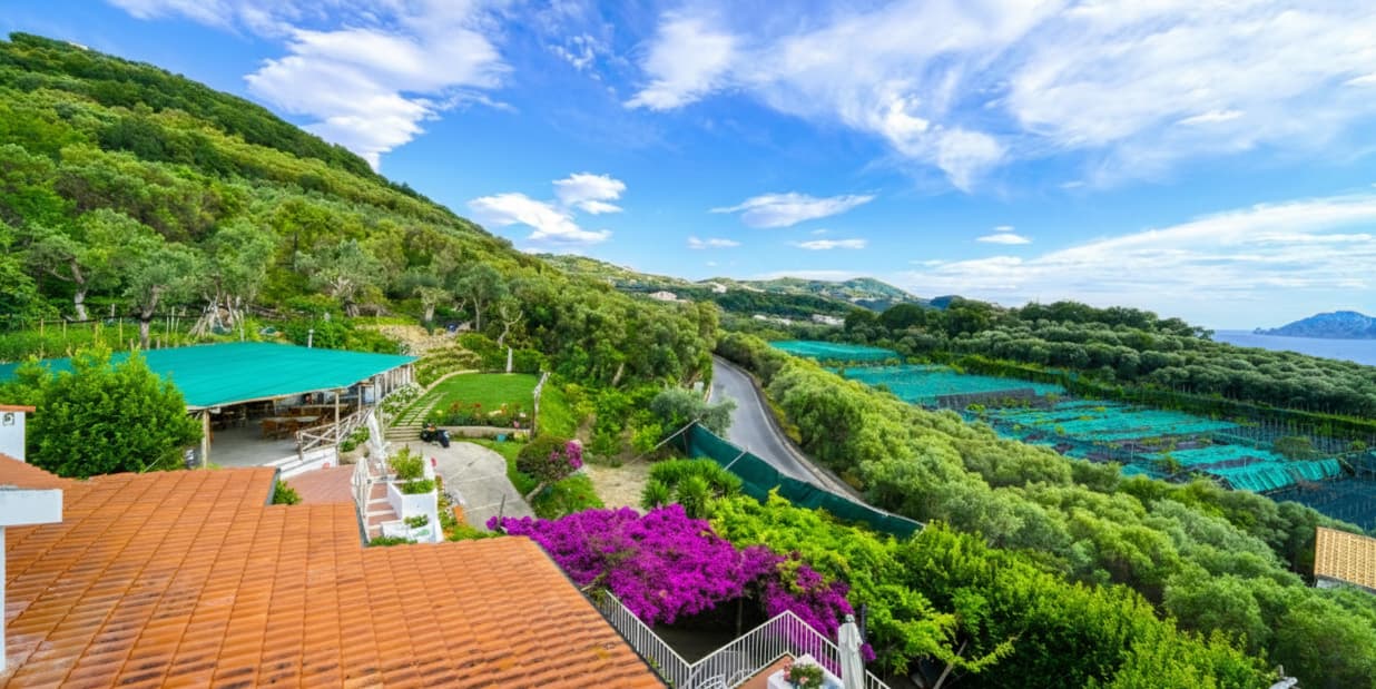 Panoramic sea view from the terrace